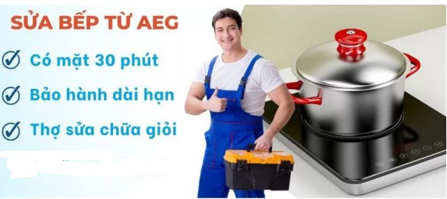 Sửa bếp từ AEG tại Long Biên 